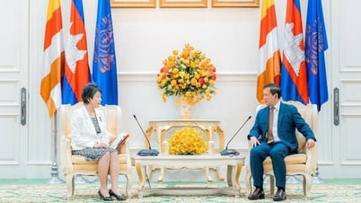 Japan invests $50 million in power project in Cambodia