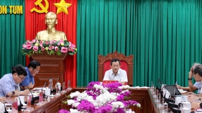 Kon Tum ផ្តល់គោលនយោបាយវិនិយោគសម្រាប់គម្រោងរោងចក្រថាមពលខ្យល់ Kon Plong ដែលមានតម្លៃ ៣.៥០០ ពាន់លានដុង