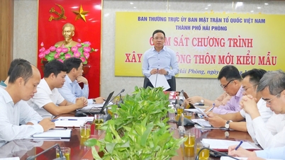 កៀរគរថវិកា ៤៥.០០០ ពាន់លានដុង ដើម្បីកសាងជនបទគំរូថ្មី។