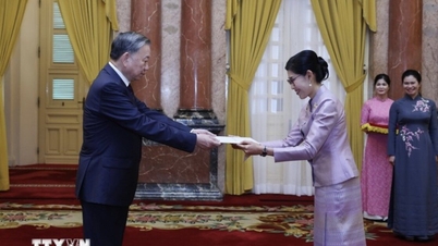 Tổng Bí thư, Chủ tịch nước Tô Lâm tiếp các Đại sứ trình Quốc thư