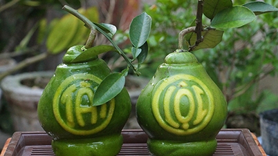 ក្រូចថ្លុង​ពណ៌​មាស​មាន​អក្សរ​ឆ្លាក់ តើ​គួរ​ញ៉ាំ​សម្រាប់​តេត​ទេ?