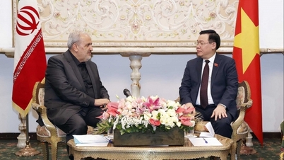 Hợp tác kinh tế, thương mại là lĩnh vực luôn được lãnh đạo Việt Nam-Iran hết sức quan tâm