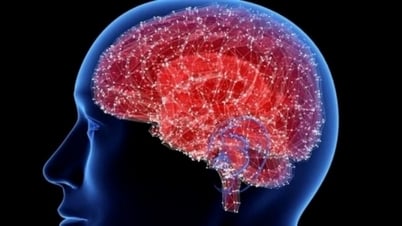 Une nouvelle avancée thérapeutique au Portugal ouvre l'espoir aux patients atteints de la maladie d'Alzheimer