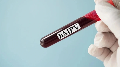 Ấn Độ ghi nhận thêm 2 trường hợp nhiễm virus HMPV