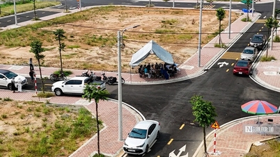 Có hiện tượng "cò đấu giá" thao túng thị trường BĐS