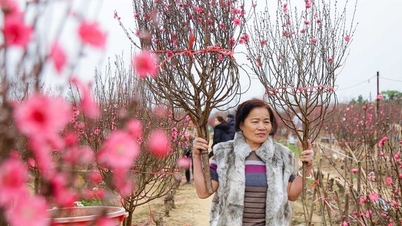 Vì sao không lập phương án nghỉ Tết Nguyên đán cố định hàng năm?