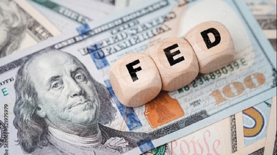 USD, EUR, CAD, យ៉េនជប៉ុន, អត្រាប្តូរប្រាក់ផោនអង់គ្លេស, អត្រាប្តូរប្រាក់... មុនពេលការផ្លាស់ប្តូររបស់ Fed ប្រាក់ត្រលប់មកវិញបានកើនឡើងយ៉ាងខ្លាំង។