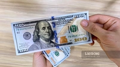Tỷ giá USD/VND, cập nhật giá USD chợ đen, tỷ giá hối đoái Yên hôm nay 27.11