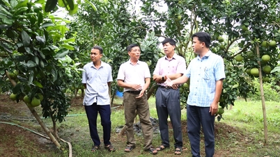 Hanoi Agricultural Extension: Breakthrough after 9 months, creating momentum for sustainable agricultural development