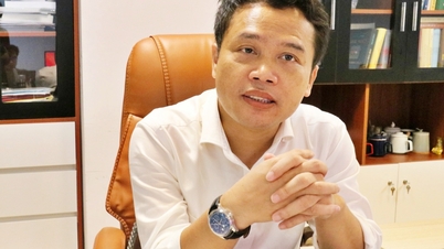Need strong enough mechanism to encourage renewable energy projects of domestic enterprises