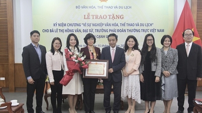 ប្រគល់​មេដាយ​សម្រាប់​បុព្វហេតុ​វប្បធម៌ កីឡា និង​ទេសចរណ៍​ដល់​លោកស្រី Le Thi Hong Van