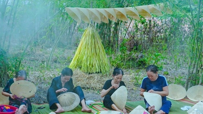 The ancient village is as beautiful as a movie in Binh Dinh, the whole village has been making horse hats for over 300 years since the Quang Trung era.