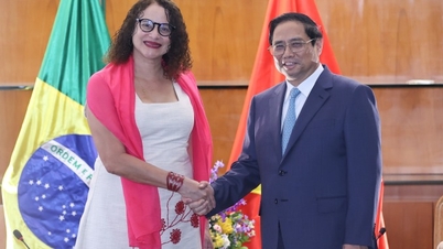 'ការទូតឬស្សីរបស់វៀតណាម បំផុសគំនិតប្រេស៊ីល'