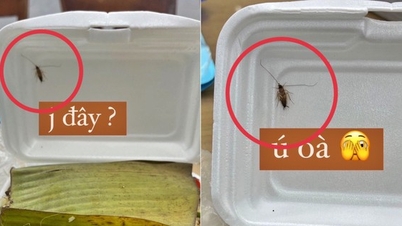 ឃើញ​វត្ថុ​បរទេស​ក្នុង​អាហារ ហេតុ​អ្វី​បាន​ជា​មនុស្ស​ជា​ច្រើន​ជ្រើស​រើស​យក​វា​ចេញ​តាម​បណ្ដាញ​សង្គម?
