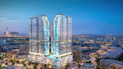 Công ty con của Bamboo Capital bị cưỡng chế thuế, dừng làm thủ tục hải quan