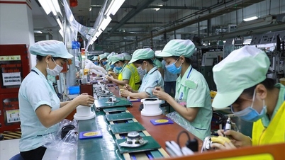 Đề xuất giao Chính phủ điều chỉnh mức giảm trừ gia cảnh thuế thu nhập cá nhân