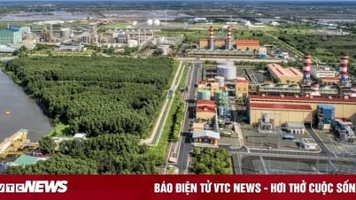 PVN nói về đề xuất dừng 2 nhà máy đạm để nhường khí phát điện