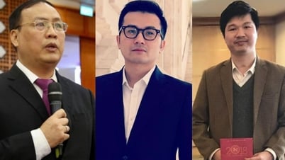 9 Vietnamese Professors and Doctors in the top 10,000 most influential scientists in the world in 2024