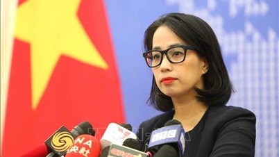 Họp báo thường kỳ Bộ Ngoại giao: Sẵn sàng hỗ trợ công dân Việt Nam bị ảnh hưởng do bạo loạn tại Pháp