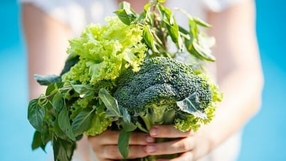 Bổ sung chất xơ thế nào cho đúng?