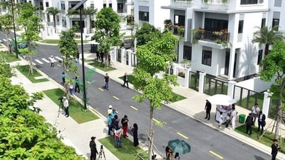 Signs of real estate recovery and "leverage" to promote growth