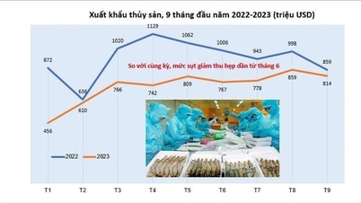 Xuất khẩu thủy sản có thể đạt 9 tỷ USD cả năm
