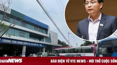What did the Ministry of Transport do to make the vehicle inspection industry change completely after a series of scandals?