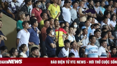 Nam Dinh Club Supporters Association announces dissolution