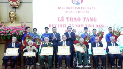 Chủ tịch UBND TP Hà Nội trao Huy hiệu Đảng tặng các đảng viên quận Ba Đình