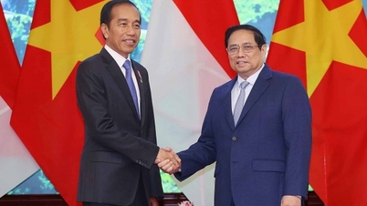 វៀតណាម-ឥណ្ឌូណេស៊ីខិតខំបង្កើនទំហំពាណិជ្ជកម្មទ្វេភាគីឡើងដល់ ១៨ ពាន់លានដុល្លារមុនឆ្នាំ ២០២៨