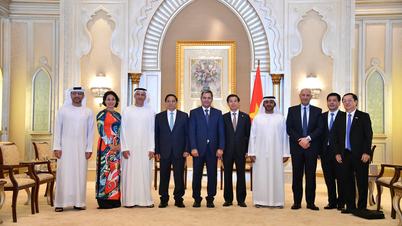 Thủ tướng giới thiệu nông sản Việt, mời các tập đoàn lớn của UAE đầu tư hạ tầng cảng biển