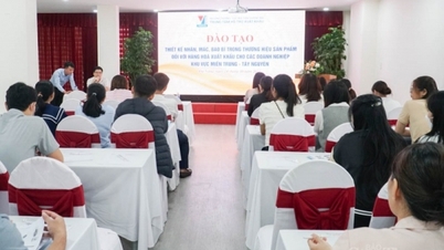Doanh nghiệp miền Trung - Tây Nguyên: Đổi mới bao bì, nhãn, mác để nâng cao sức cạnh tranh cho sản phẩm