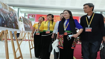 Nâng cao năng lực thanh tra, kiểm tra thực hiện chính sách dân tộc cho công chức trong các cơ quan quản lý nhà nước về công tác dân tộc