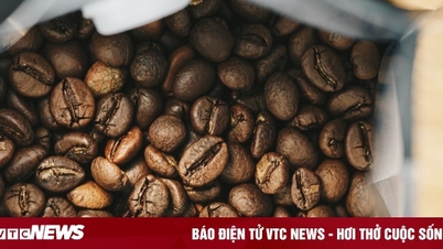 Coffee price today December 9: Stable beginning of the week