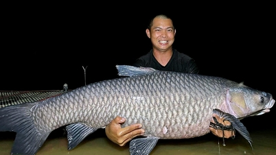 ត្រីគល់រាំង ៤០គីឡូក្រាម ចាប់បានដោយអ្នកនេសាទ
