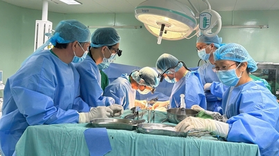 Continued successful kidney transplant surgery in the Mekong Delta