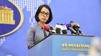 Việt Nam yêu cầu Trung Quốc tôn trọng Hiệp định Phân định Vịnh Bắc Bộ