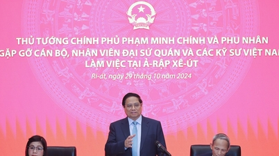 Thủ tướng yêu cầu nhanh chóng, kịp thời, hiệu quả nhất trong bảo hộ công dân