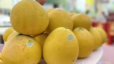 Hội chợ Triển lãm Nông nghiệp Quốc tế lần thứ 23 có điểm gì mới?