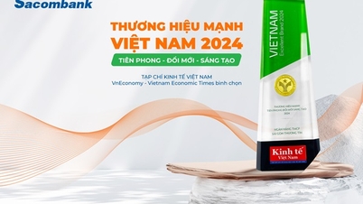 Sacombank គឺជាម៉ាកយីហោវៀតណាមដ៏រឹងមាំមួយសម្រាប់រយៈពេល 13 ឆ្នាំជាប់ៗគ្នា។