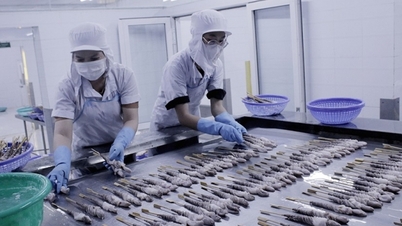 Ba Ria - Vung Tau: Expanding export markets from trade agreements