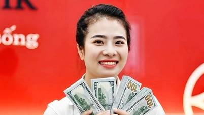 Giá USD ngân hàng đồng loạt giảm mạnh
