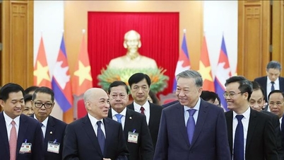 トゥ・ラム事務総長がカンボジア国王と会談