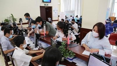 Kế hoạch thực hiện chính sách, pháp luật về nâng cao chất lượng, hiệu quả hoạt động của các đơn vị sự nghiệp công lập