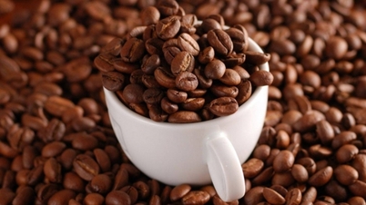 តម្លៃនាំចេញកាហ្វេ Robusta របស់វៀតណាមកើនឡើងយ៉ាងខ្លាំង លើសកាហ្វេអារ៉ាប៊ីកា