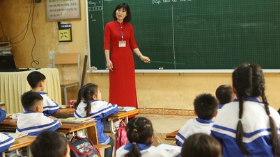 Teachers must have a practicing certificate: Necessity for management or additional sub-license?
