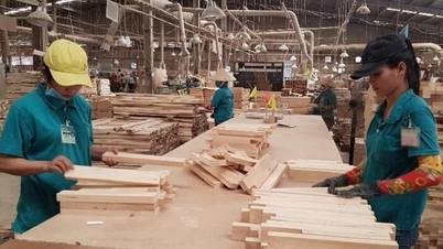Gỗ Thuận An (GTA) chỉ đạt 36% kế hoạch năm dù qua 6 tháng