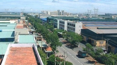 Tan Tao a annoncé que la présidente Dang Thi Hoang Yen poursuivait en justice plusieurs entreprises aux États-Unis.