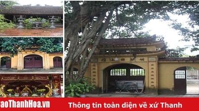 ឧត្តមសេនីយ Le Thanh ជាអ្នកបំរើស្មោះត្រង់របស់ Le Loi