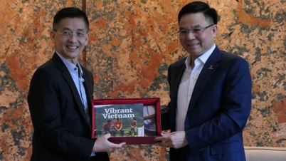 អគ្គនាយក Petrovietnam និងថ្នាក់ដឹកនាំក្រុមហ៊ុន Singaporean Energy Group Sembcorp ពិភាក្សា និងពង្រឹងការអនុវត្តកិច្ចព្រមព្រៀងអភិវឌ្ឍន៍រួម